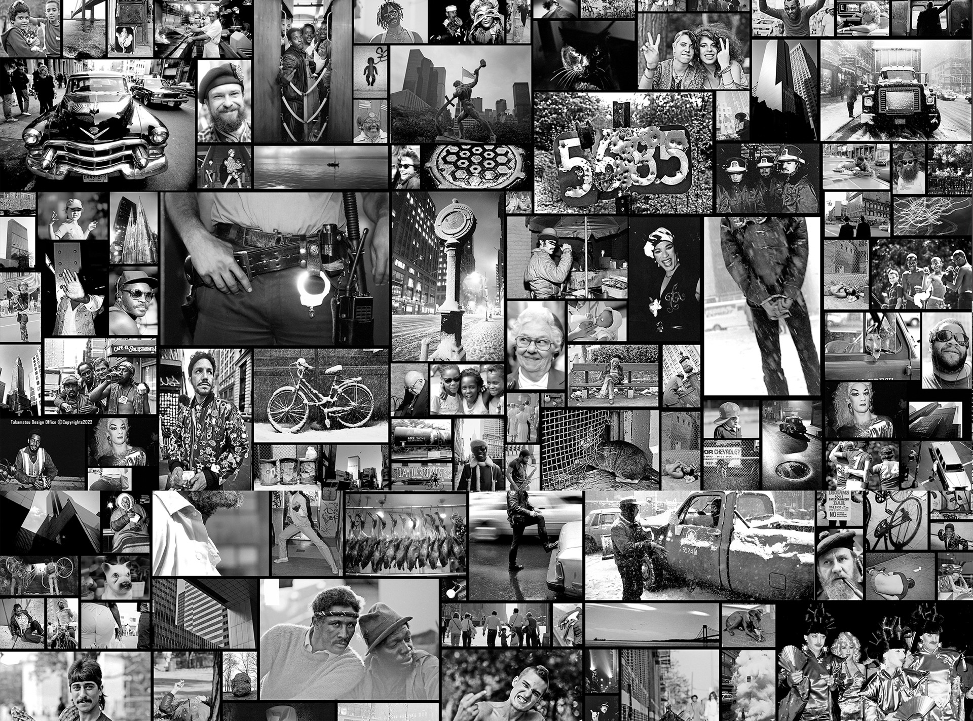 photographs