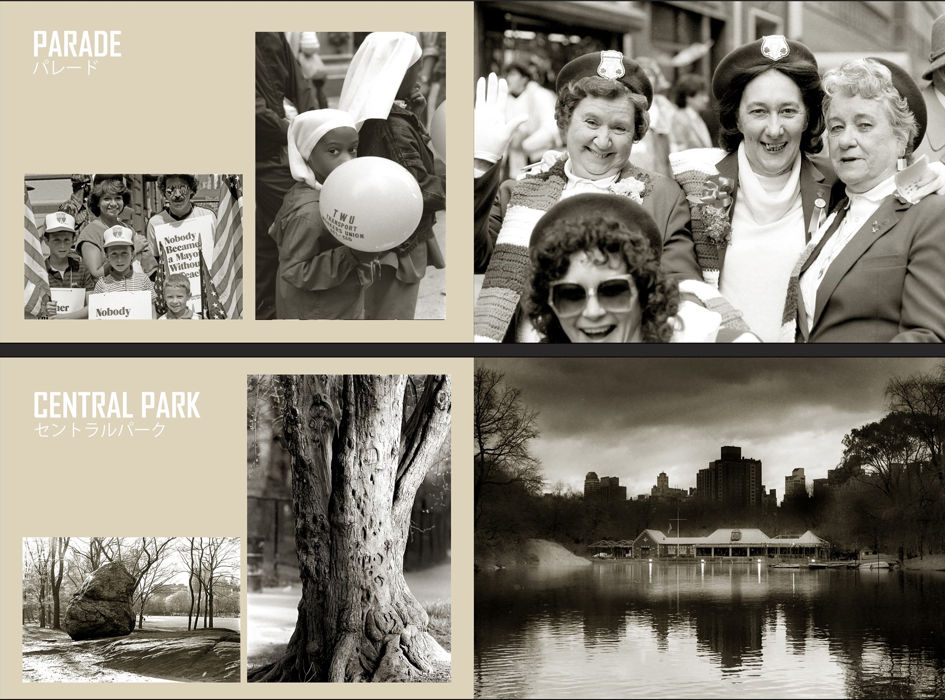 photographs