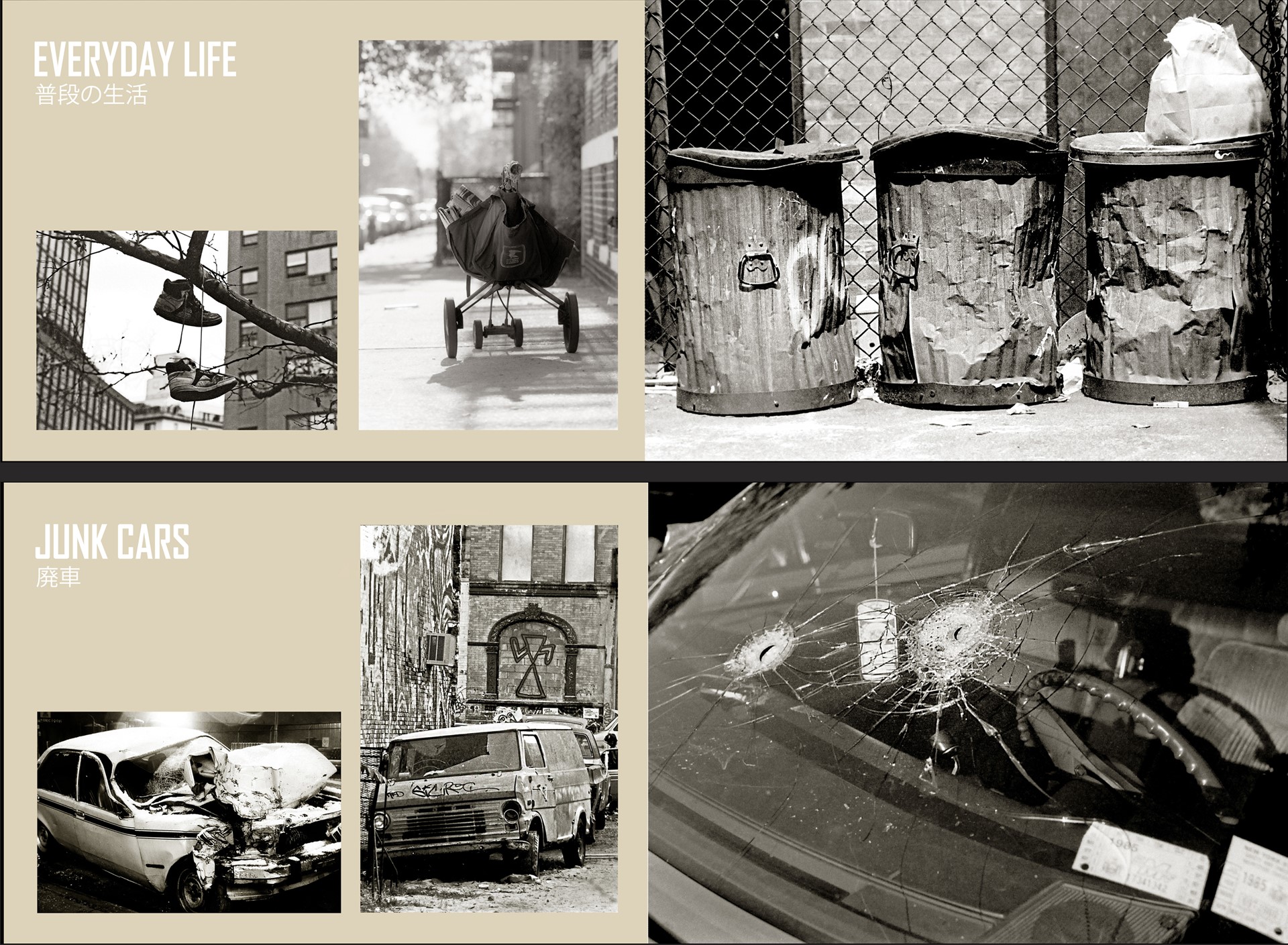 photographs